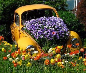 Ketika Bangkai Mobil Jadi Taman Bunga Yang Indah