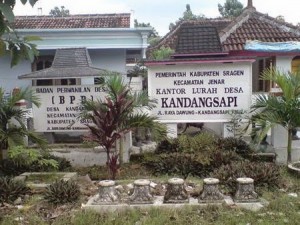 desa kandang sapi