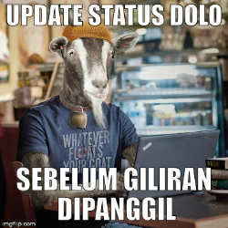 Meme Kocak Kambing dan Sapi Sebelum Disembelih, Dijamin Ngakak!