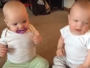 lucunya bayi kembar ini bertengkar. Kamu akan terkejut alasan mengapa mereka berkelahi
